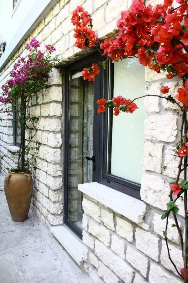 Le Due Palme Bed & Breakfast Sirolo Exterior foto